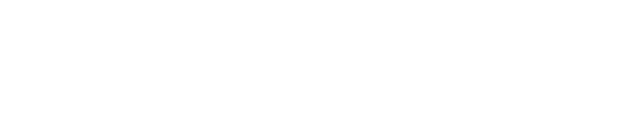 Navigo Reversed Logo